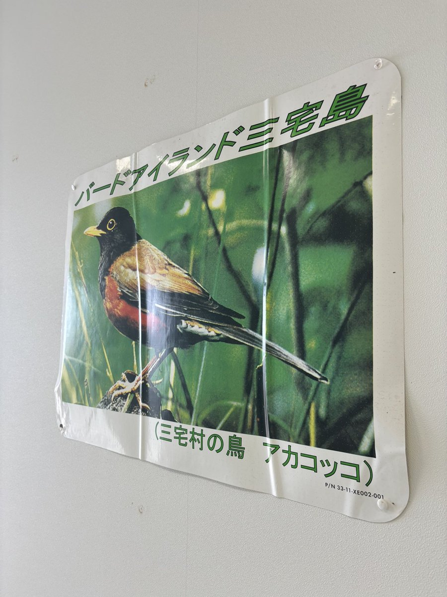 🌻lizzie burd🌱 tweet media