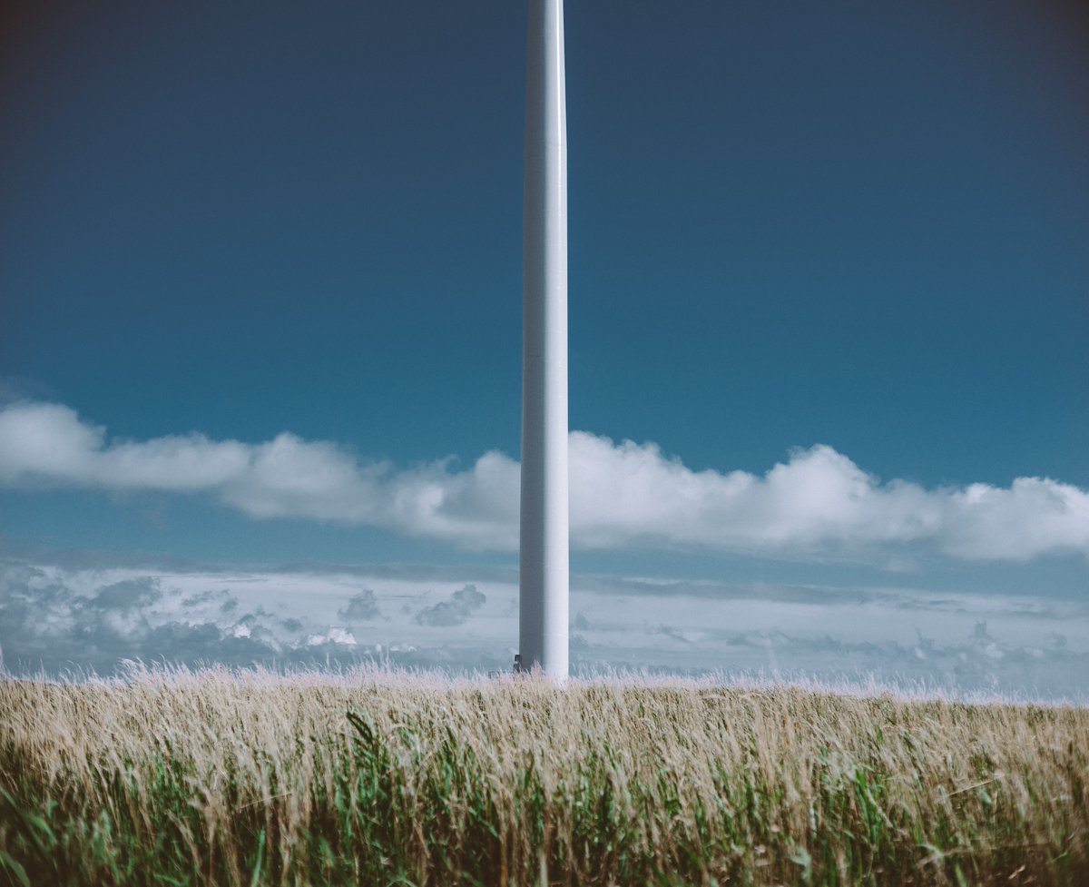 ひなた tweet media