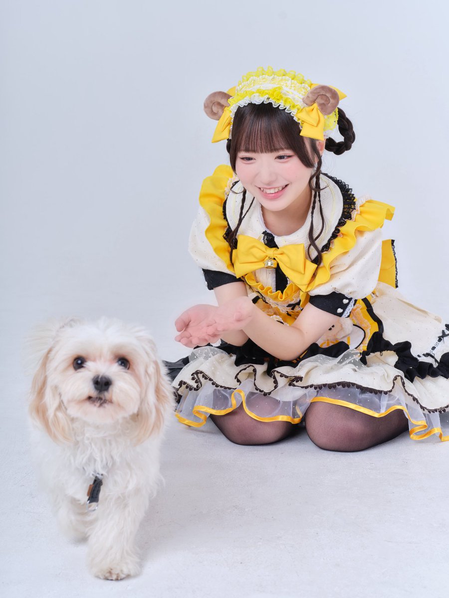Post by 栗栖 むぎ【iON!】 on X: むぎわんさん🐶