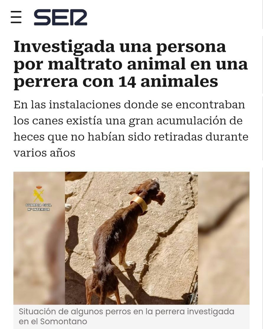 ❌Sin agua, sin comida, caquéxicos, enfermos y entre heces de hace años. Así se encontraban los 14 perros de esta perrera en Somontano (Huesca).

🐶Uno de los perros, con leishmaniosis, había perdido un ojo y parte de una oreja, y no podía ni mantenerse en pie.

💉No tenían