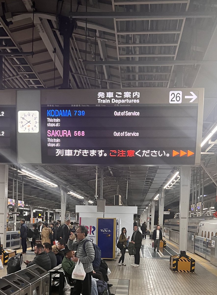 neko☆neko(9月11日9時頃まで) なかのねこ🦔 on X