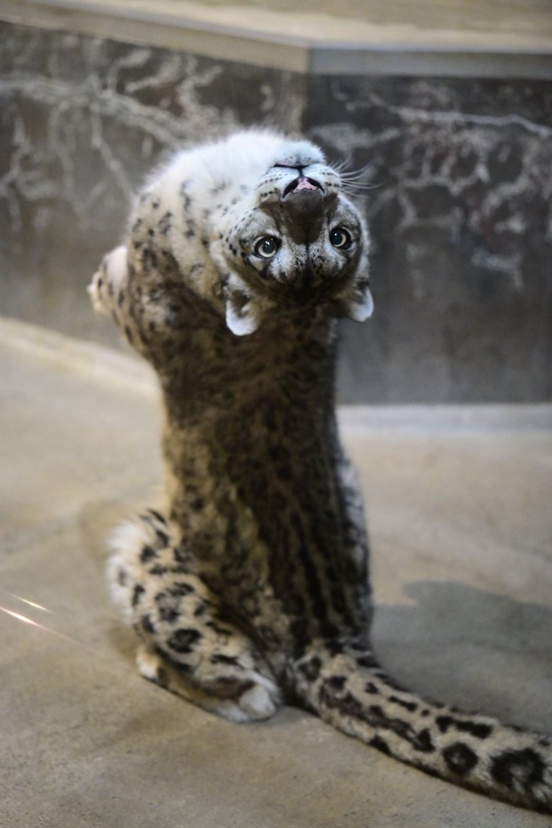 let's get possessed by the devil with mama