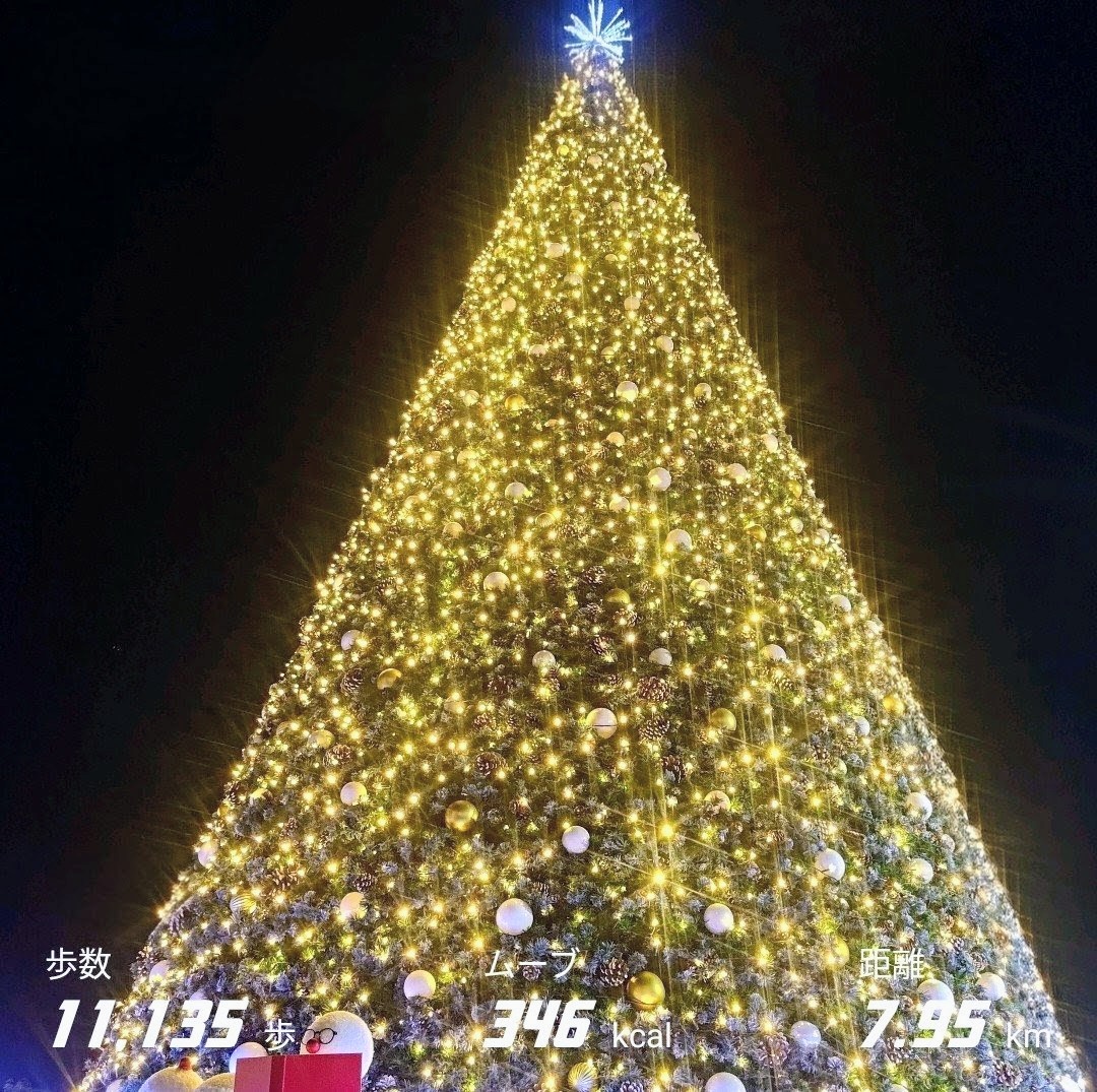 🎃の次の日から🙌
イベントの切り替えが爆速な🫶
🎄を眺めつつ #ウォーキング 🚶

空気が澄んできて景色がよく見える✨
綺麗な季節になってきましたね〜☺️👍