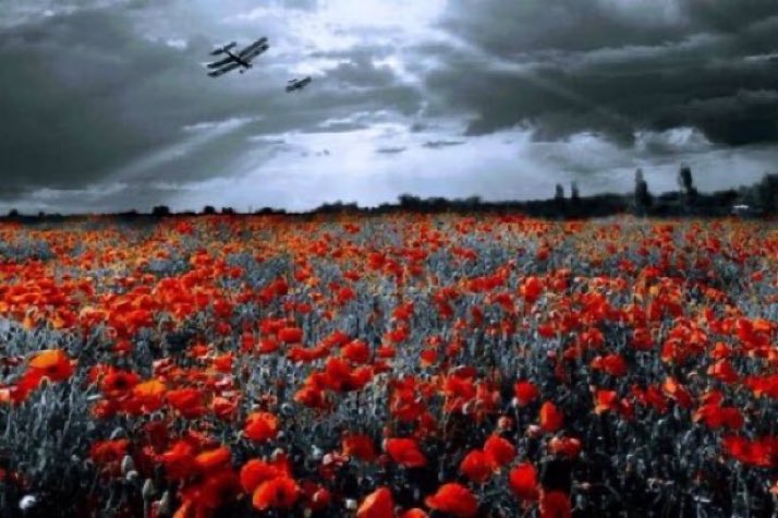 Veterans4Europe tweet media