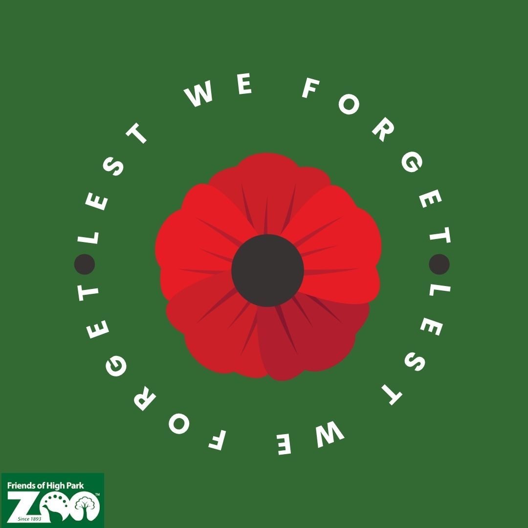 #LestWeForget #RemembranceDay
