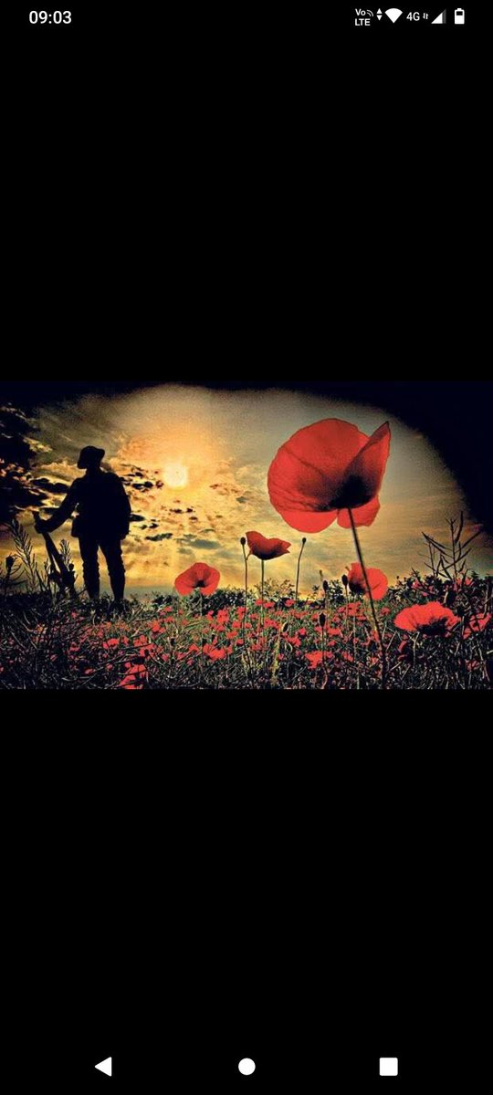 crashpy_onion's tweet image. Lest We Forget 🙏🏻