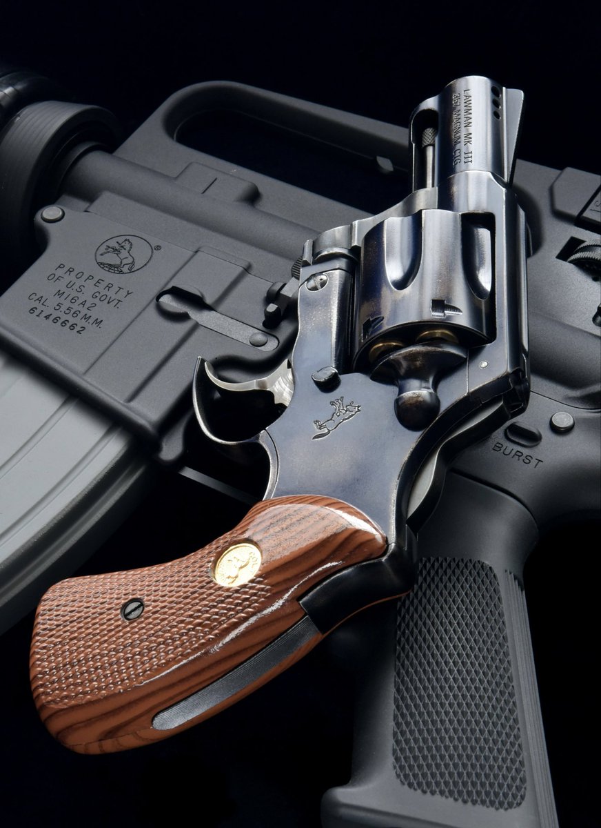 ディスプレイ拳銃 buhibuhi on X