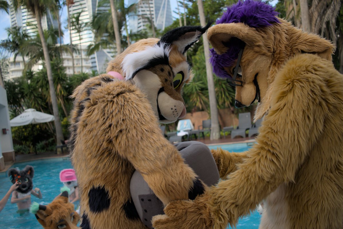 Kal Dingo tweet media