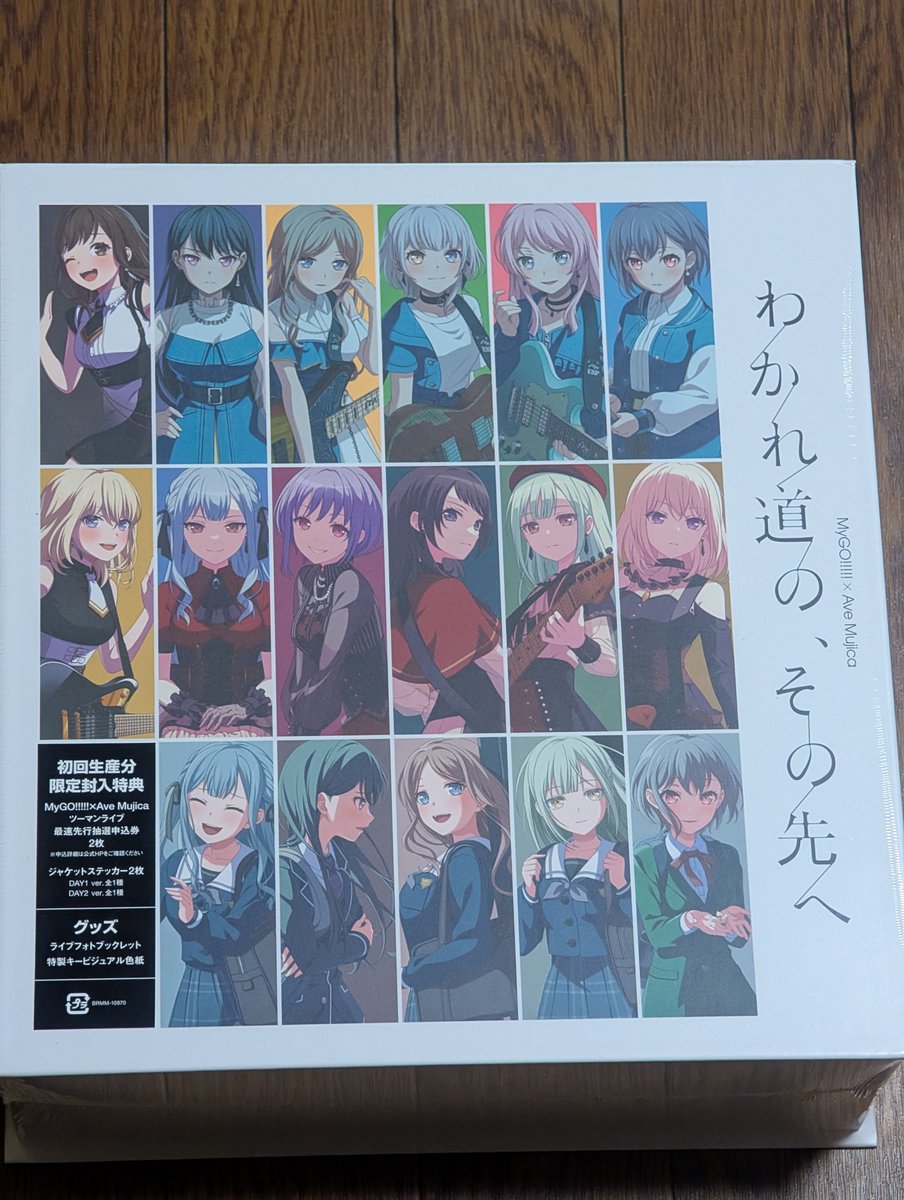 わかれ道の、その先へ Blu-ray DAY1 DAY2セット 封入特典無し