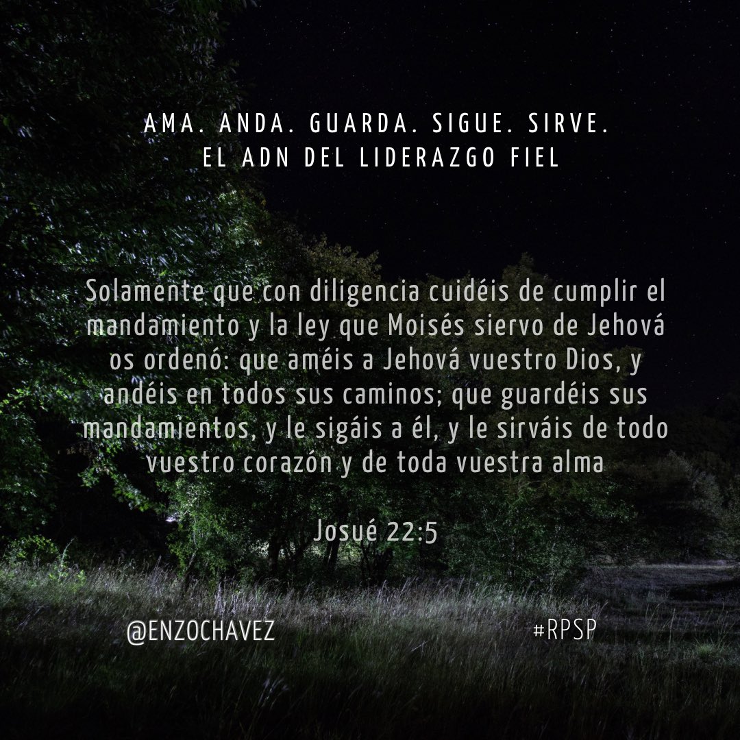 Josué 22
El éxito no está en lo que logras, sino en a quién sigues. Josué enseñó: ama a Dios, camina en sus caminos, guarda sus mandamientos y sírvelo de todo corazón. La grandeza no se mide en victorias, sino en fidelidad diaria. Tu mayor conquista: mantenerte fiel a Dios
#rpsp