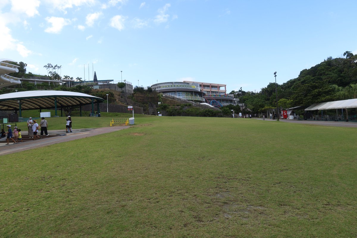 ことね ﾎﾋﾞｰｾﾝﾀｰｶﾄｰ 11月26日発売 #kato #ホビセン | NGaugeJP - Nゲージ