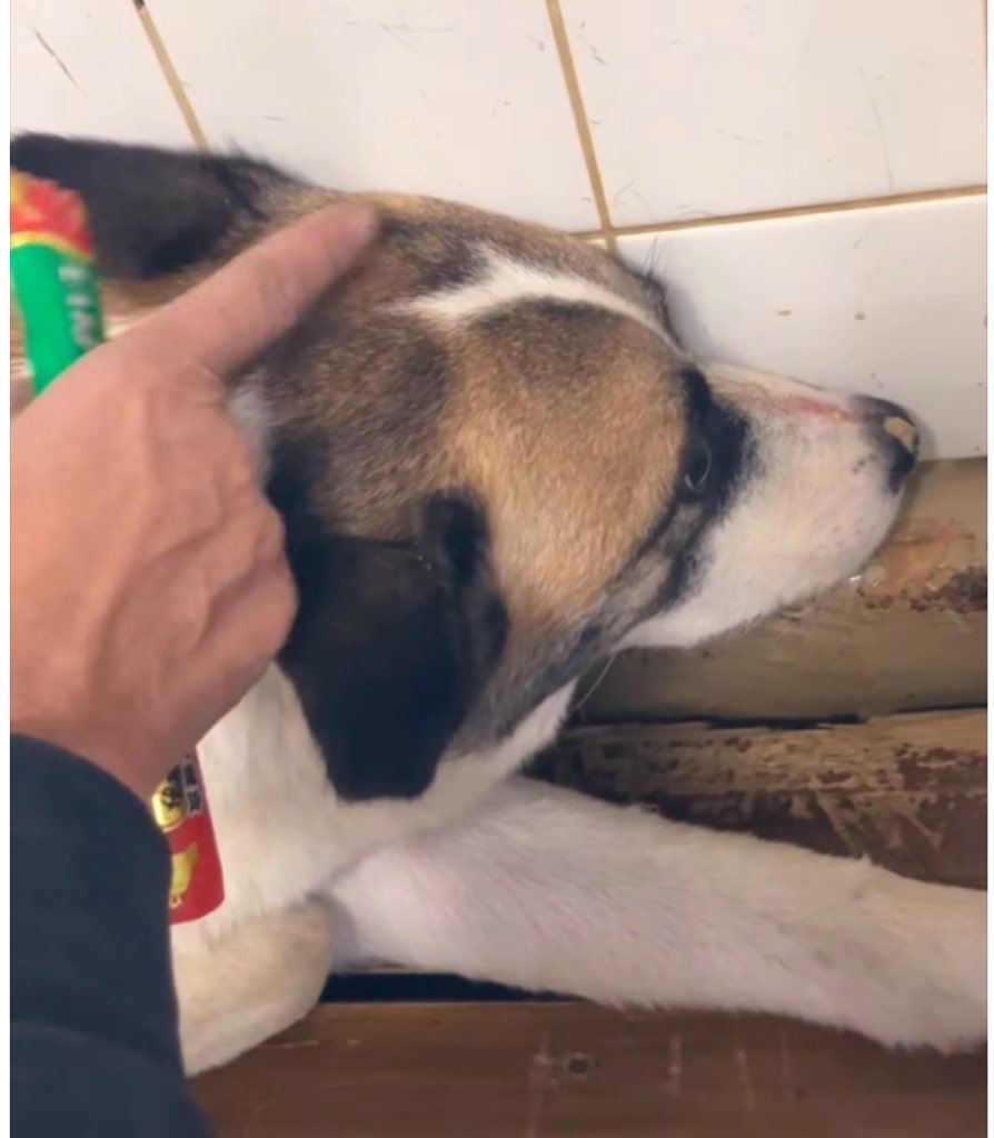 SAKUSOU (@SAKUSOU222) / Posts and Replies / X