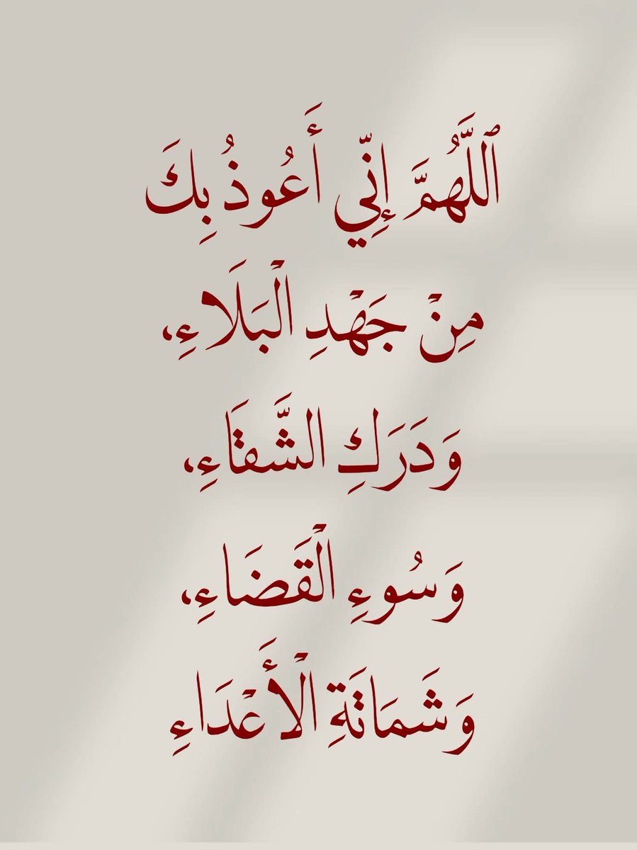 Amira Youssef (@amirayouss13682) on Twitter photo 