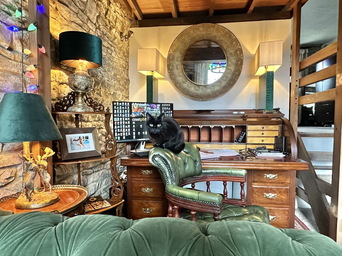 Office cat stopping me doing my VAT