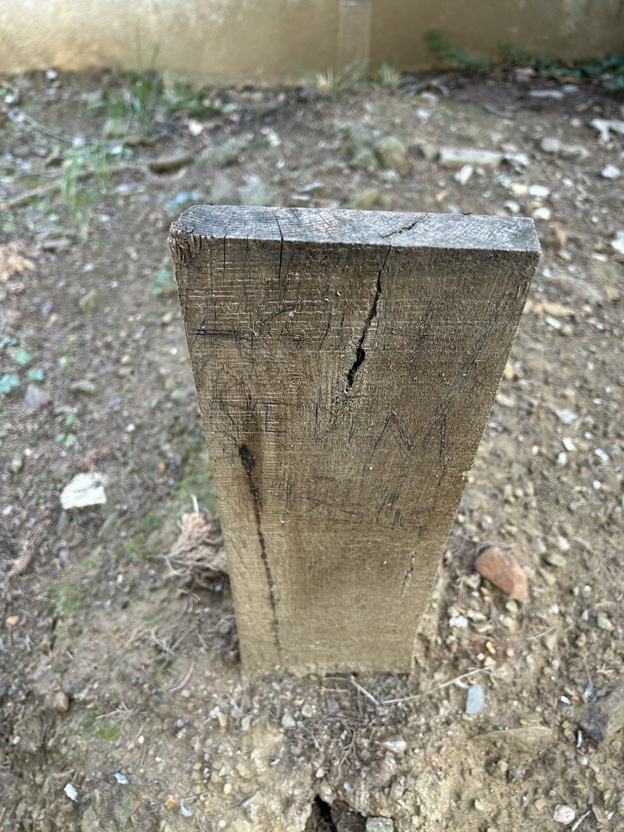 Sinemamızın hafızası değerli sinema yazarı ve araştırmacısı, ölümü sonrasında vefasızlıkla mezarı bile henüz yaptırılmayan Agah Özgüç’e; vefa borcumuzu hafifletmek için yarın İBBbeyoğlusinemasında biraraya geliyoruz. <a href="/ibbeyoglusinema/">İBB Beyoğlu Sineması</a> <a href="/ibb_kultur/">İBB Kültür</a> #ibbbeyoğlusinema <a href="/Siamer_/">SİAMER</a>