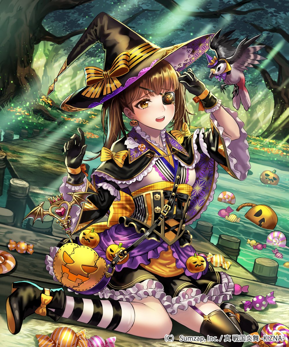白井秀実 (@shirai_7) / Posts / X