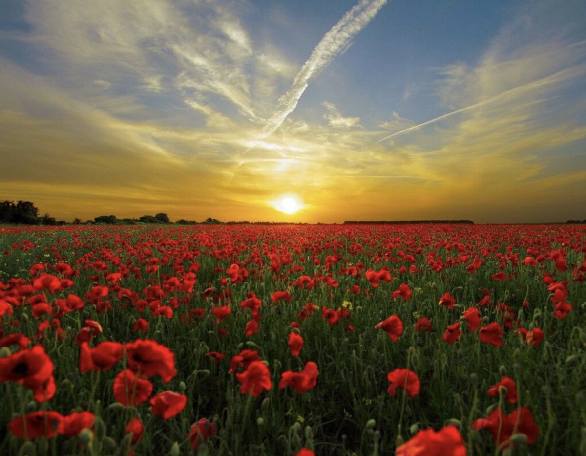 They shall never be forgotten…