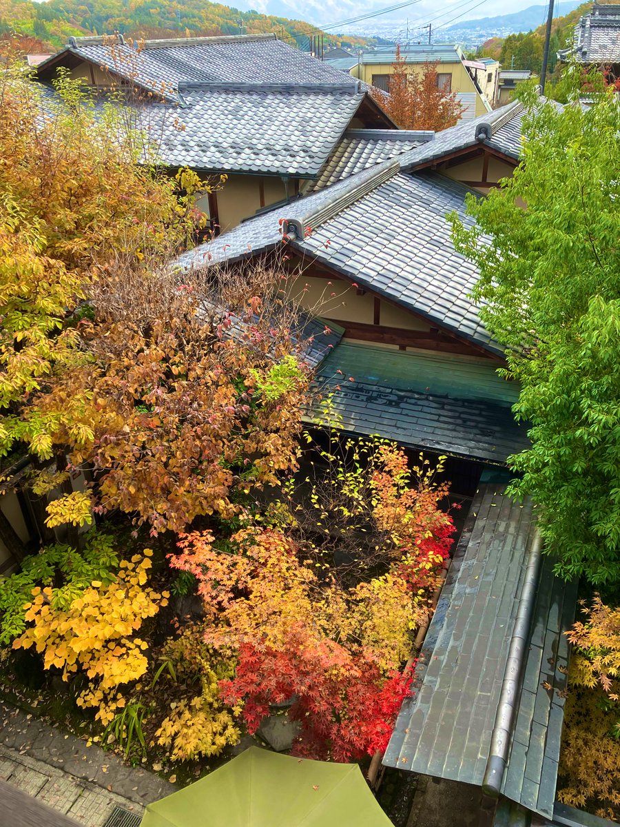 tomonga19's tweet photo. とても気持ちの良い宿でした https://t.co/25c7akMN3B