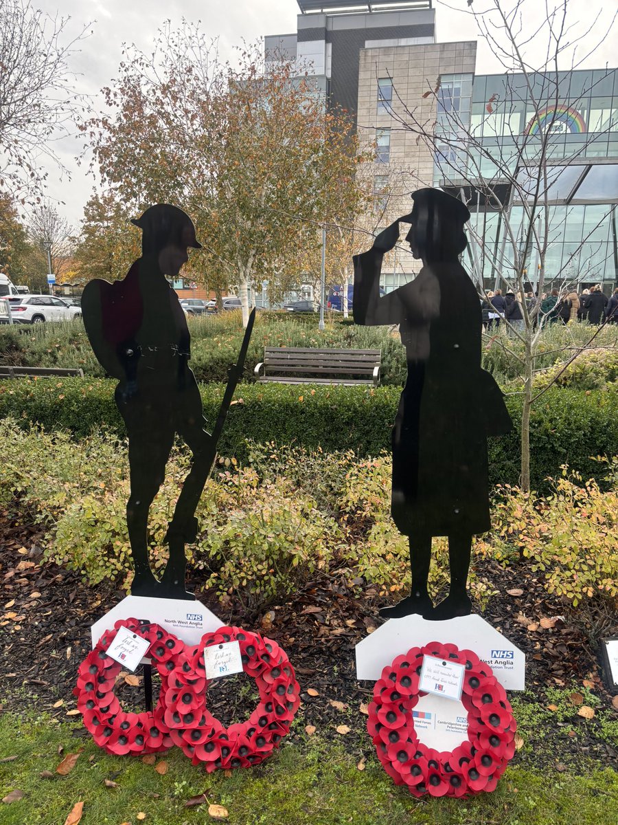 The Cavell Therapy Team tweet media