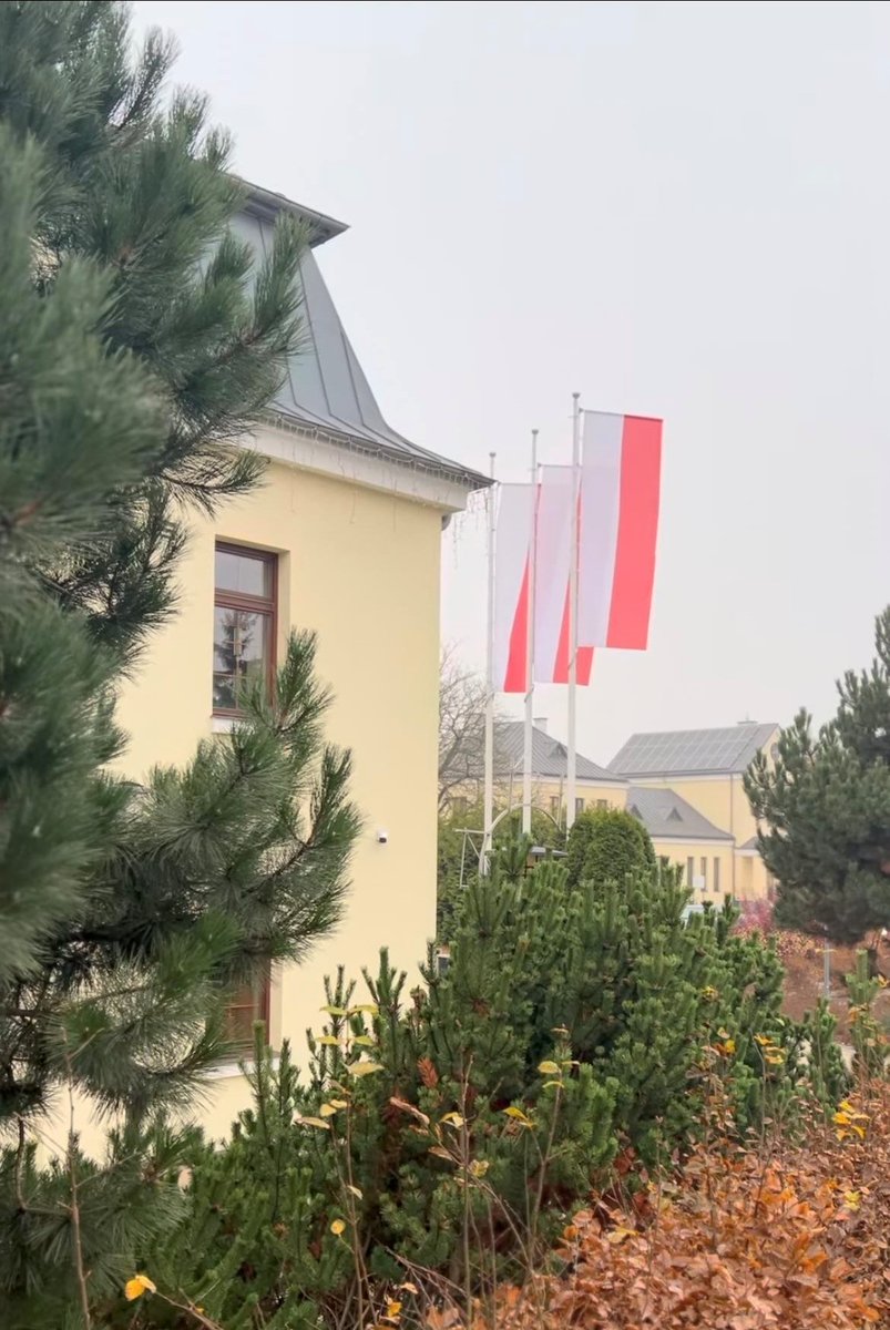 11 listopada Narodowe Święto Niepodległości 🇵🇱