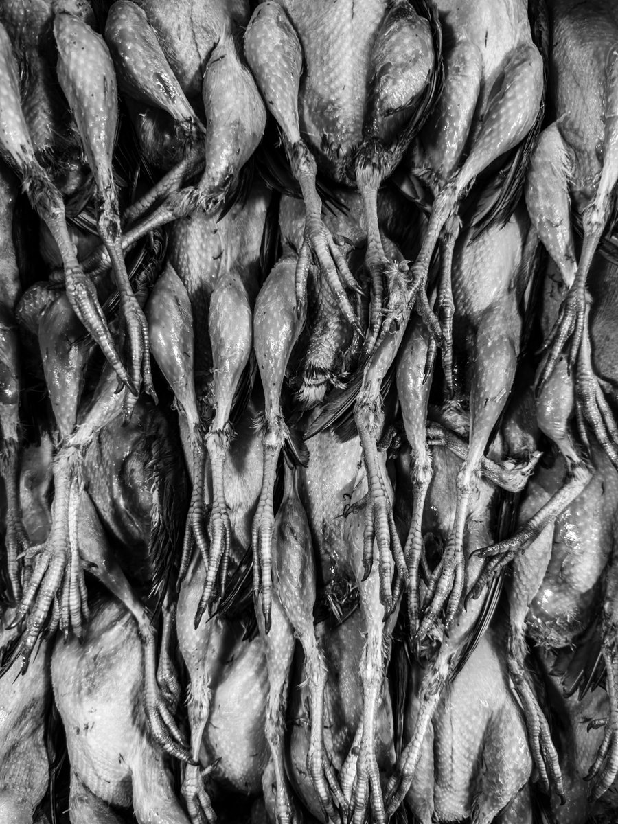 Corrigan's Mayfair tweet media