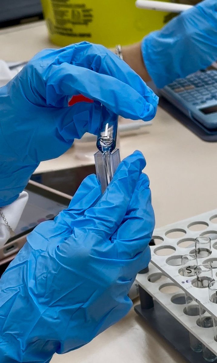 LAB25🔬🧪 tweet media