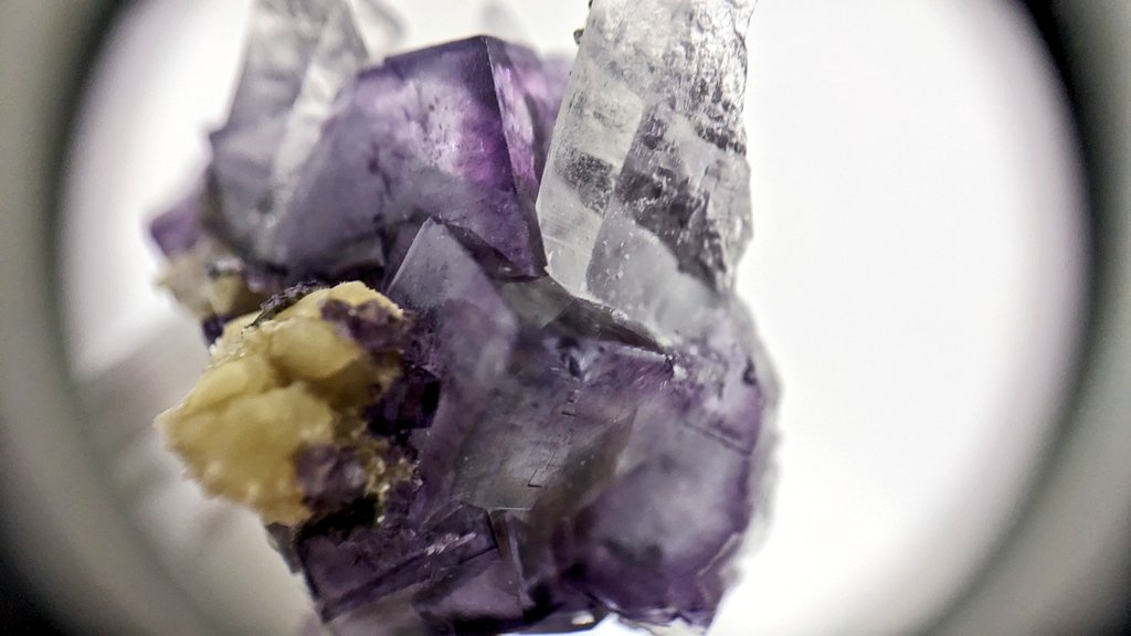 ざくろ(a.k.a. じゃり) on X