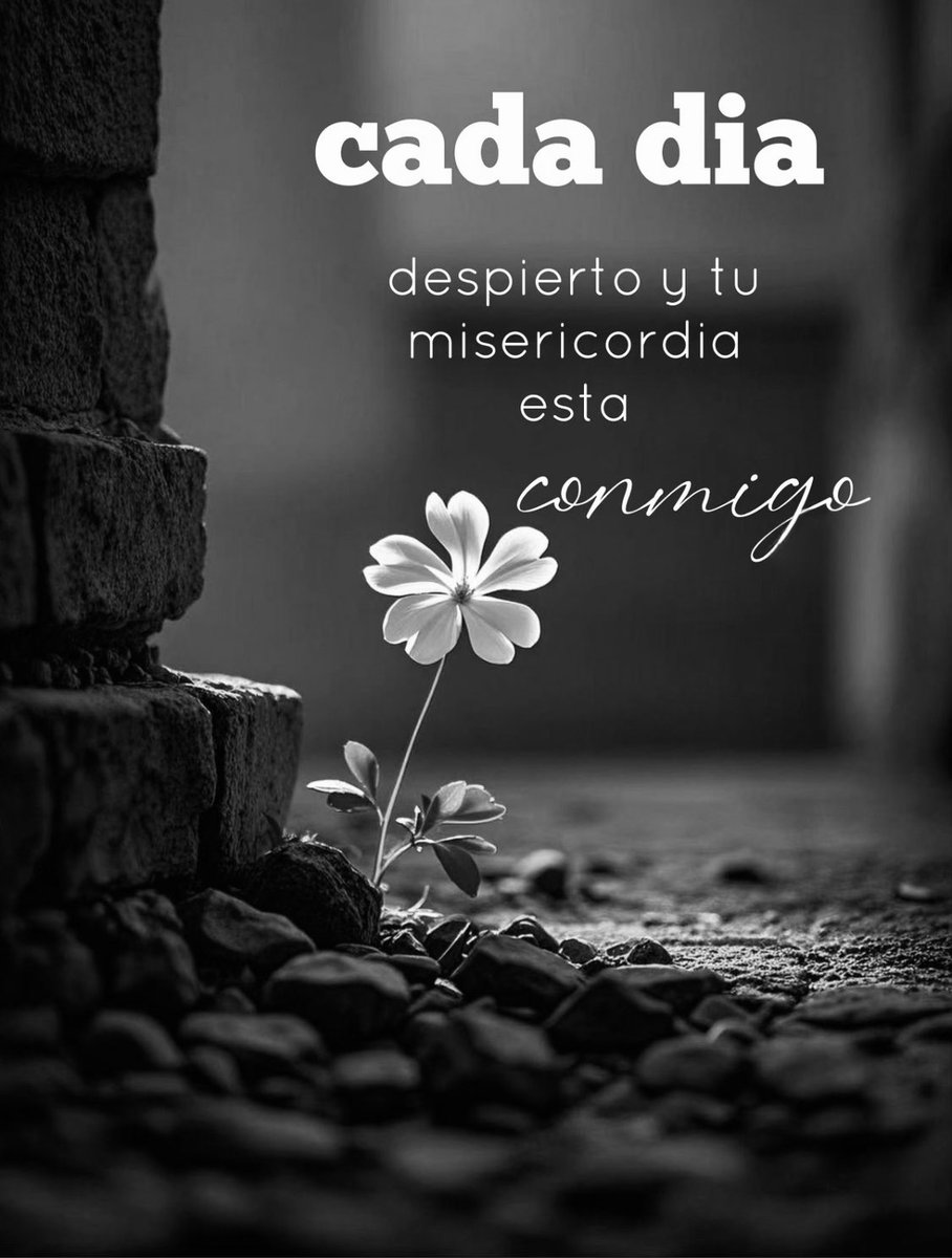 diosenletras's tweet photo. https://t.co/xpoFzgddBK