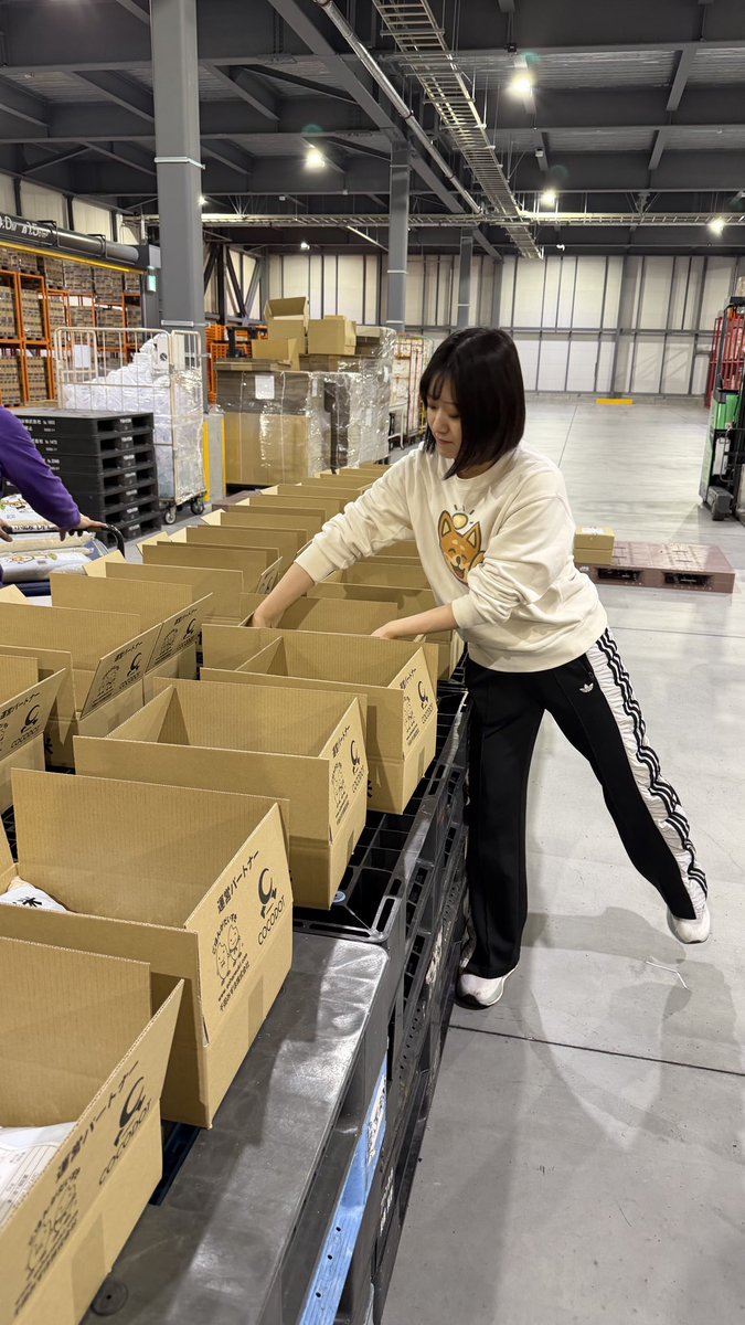 いつきゆりこ｜広報 tweet media