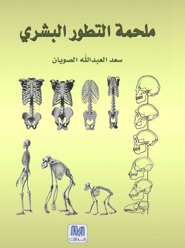 سبنسر الثالث عشر tweet media