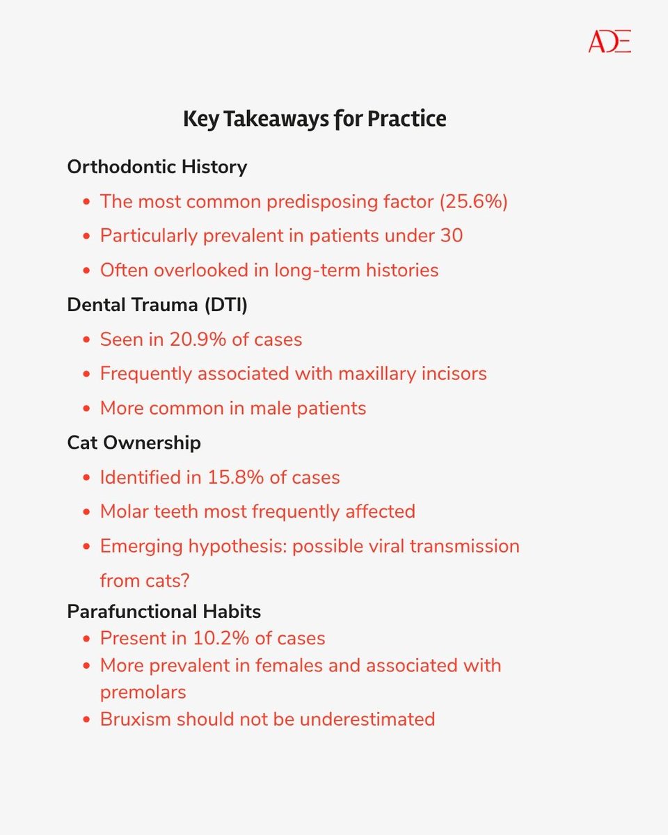 ADE_Dental's tweet photo. External Cervical Resorption :

#profsubirbanerji #dentistry #aestheticdentistry #externalcervicalresorption #dentaltraining #dentallife #dentalacademy #academyofdentalexcellence #dentaluk #postgraduate #onlinediplomacourses #onlinedentalcourses https://t.co/pvCVx7m1bW