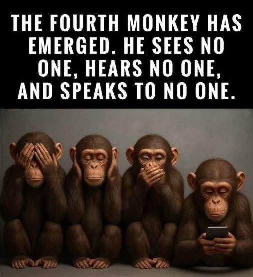 lisahsmithlhs (@lisahsmithlhs) on Twitter photo 