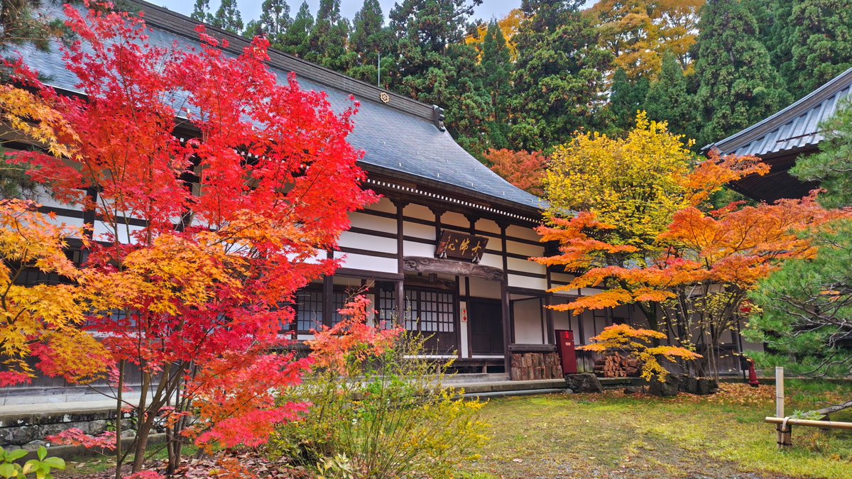 虎太狼　長野市発 長野市