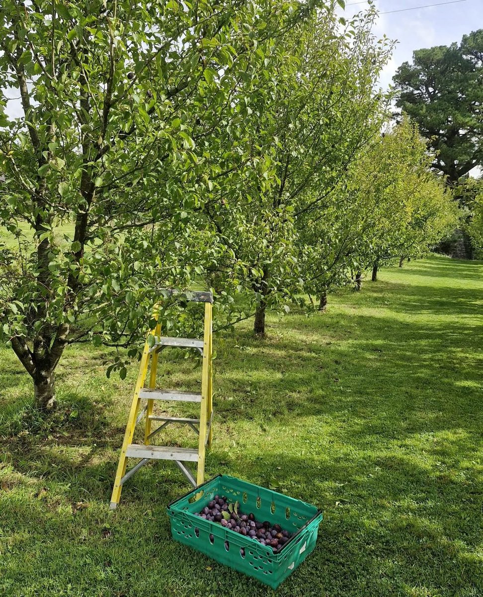 Virginia Park Lodge tweet media