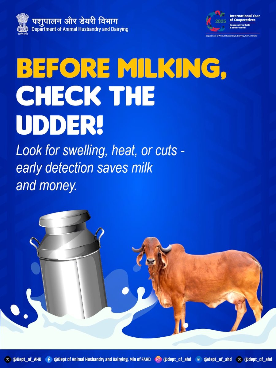 Dept_of_AHD's tweet photo. Check and clean the udder before milking. This ensures milk stays safe and hygienic.
@NDDBDairyServ @NDDB_Coop
#DairyTips #CleanMilking #CleanMilkingPractices https://t.co/UjOb4IPfJo