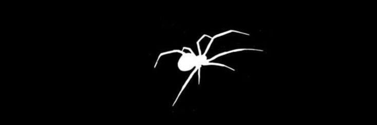 widowmaker . tweet media