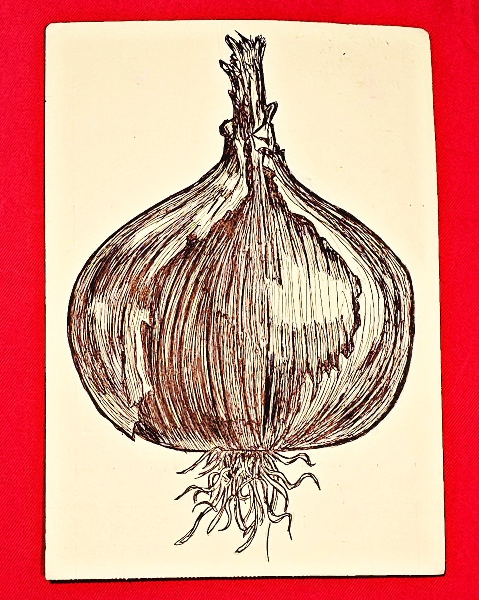 #inktober #inktober2025 #Inktober2025day27 #inktober2025day27onion #inktober2025onion #onion #oignon