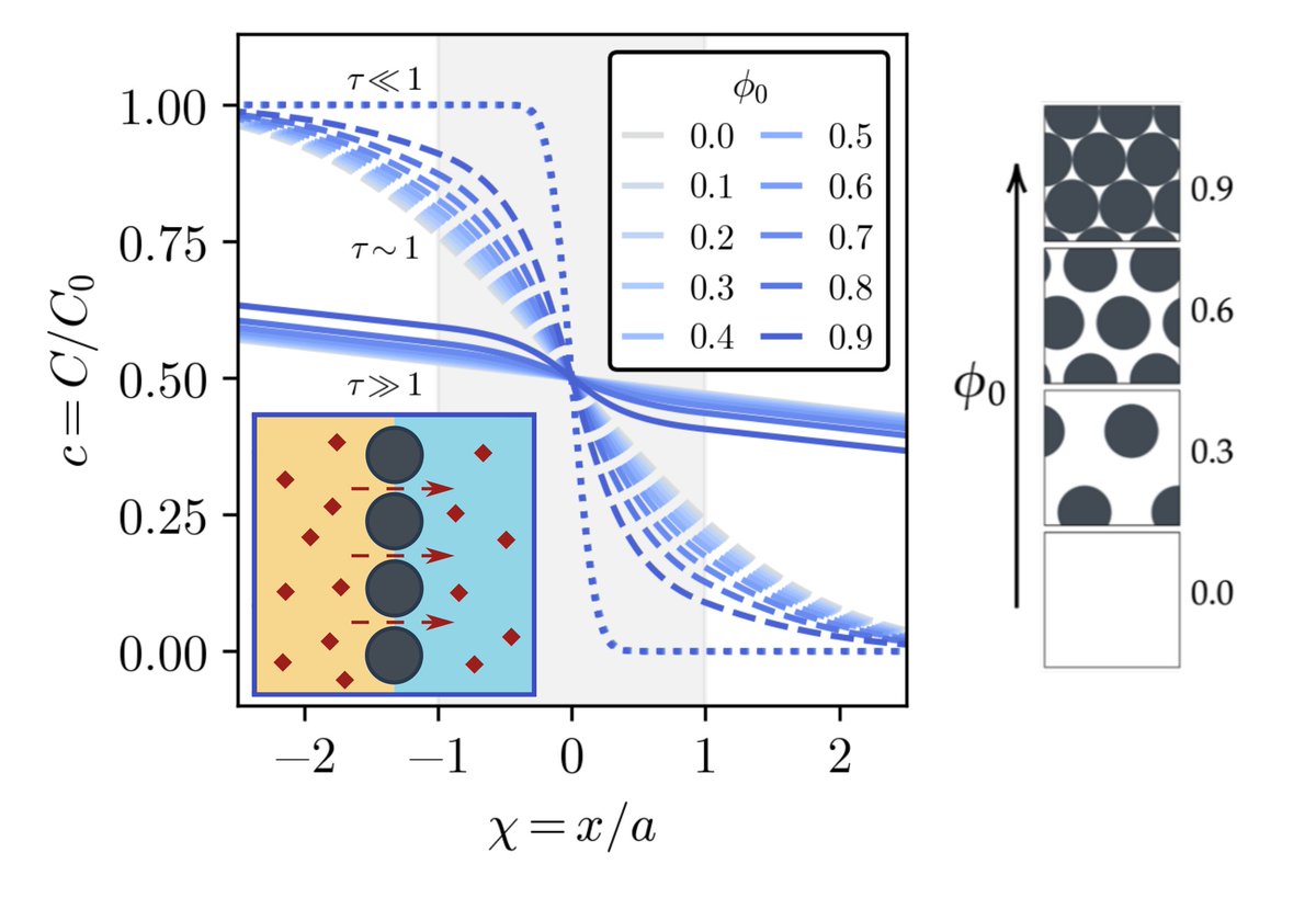 PhysRevFluids's tweet image. Colloidal particles at fluid interfaces may strongly hinder or barely affect mass transfer. Using the Fick-Jacobs equation, a new Letter shows that hindrance occurs mainly at short times from reduced cross-section, giving a simple predictive criterion.

go.aps.org/4hTKEJR