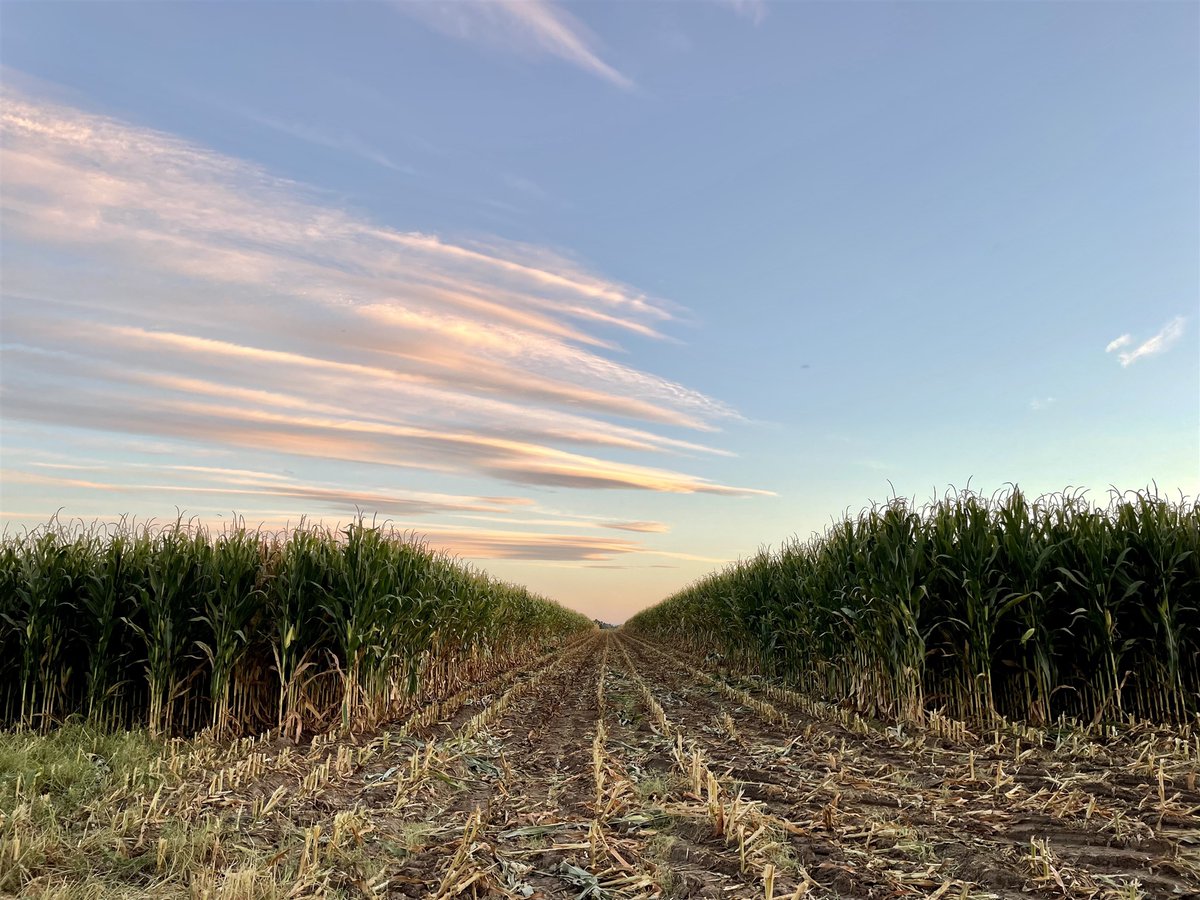 Are you a property owner interested in making your space available for film, TV, or commercial production? The Utah Film Commission makes it easy to list your property in their Film Locations Database. 

Visit film.utah.gov/film-location-… for all the information and details.