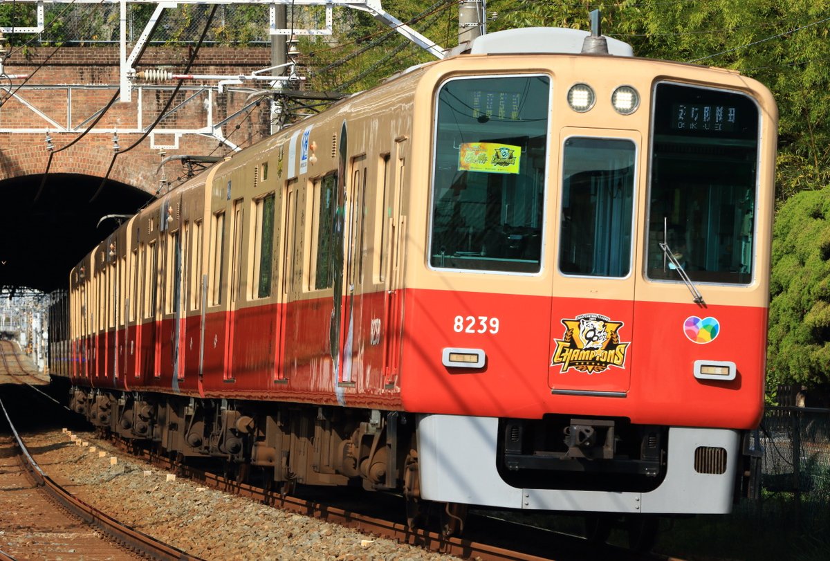 あんぱんページ あんぱん) on X