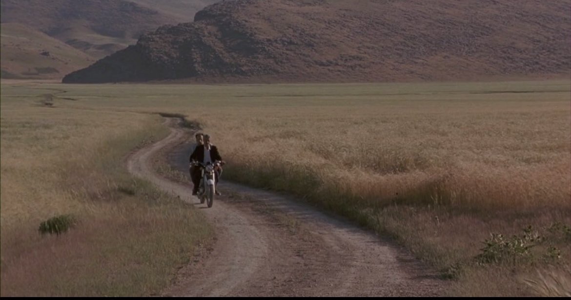 Bir yönetmen, dört film.