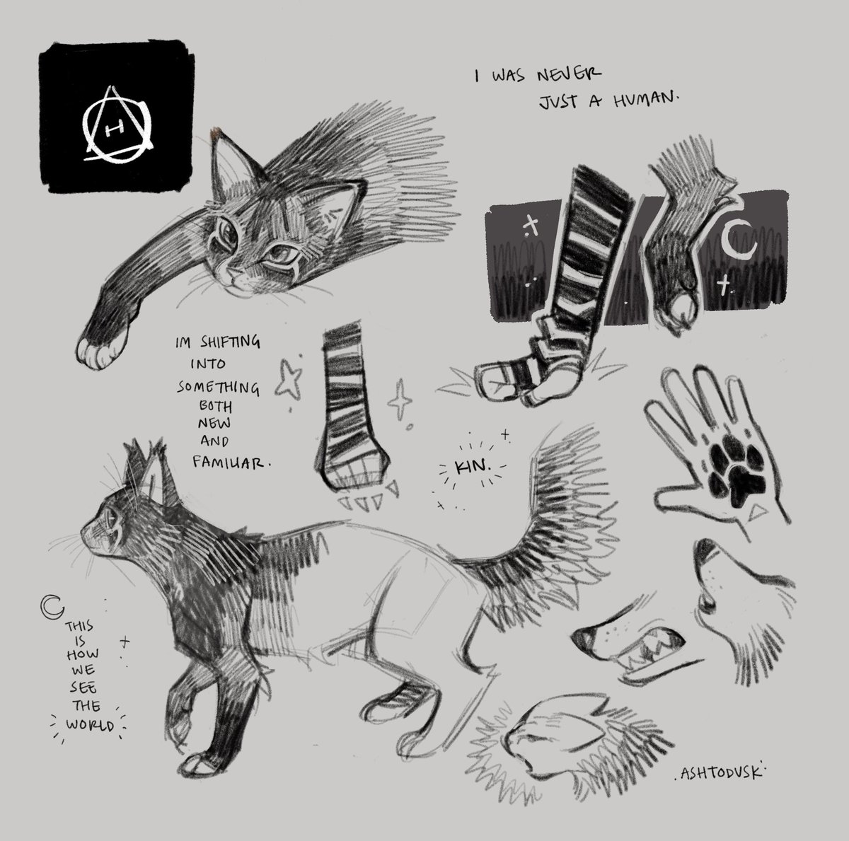 shifted recently and i wanted to draw my cat theriotype, briar! it’s been a while since i tried to draw realistically X3
#therian #alterhuman #otherkin