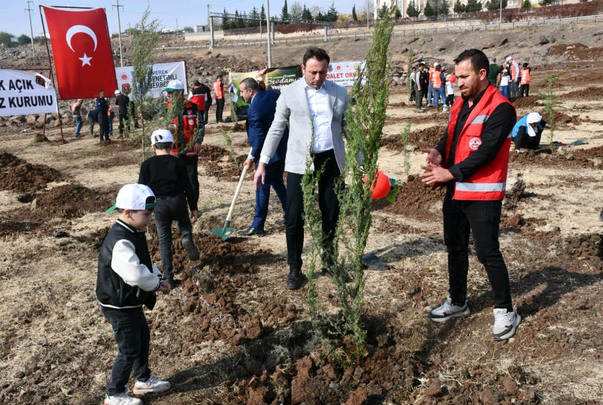 SiverekSydv's tweet photo. Kaymakamımız Sayın Salih SAK’ın öncülüğünde, ilçe protokolü ile birlikte 11 Kasım Milli Ağaçlandırma Günü kapsamında Siverek Sosyal Yardımlaşma ve Dayanışma Vakfı olarak doğaya katkı sunan bu anlamlı etkinlikte yer aldık.

@salihsakmia #11kasımağaçlandırma
#sivereksydv https://t.co/DQ3Dow0l70