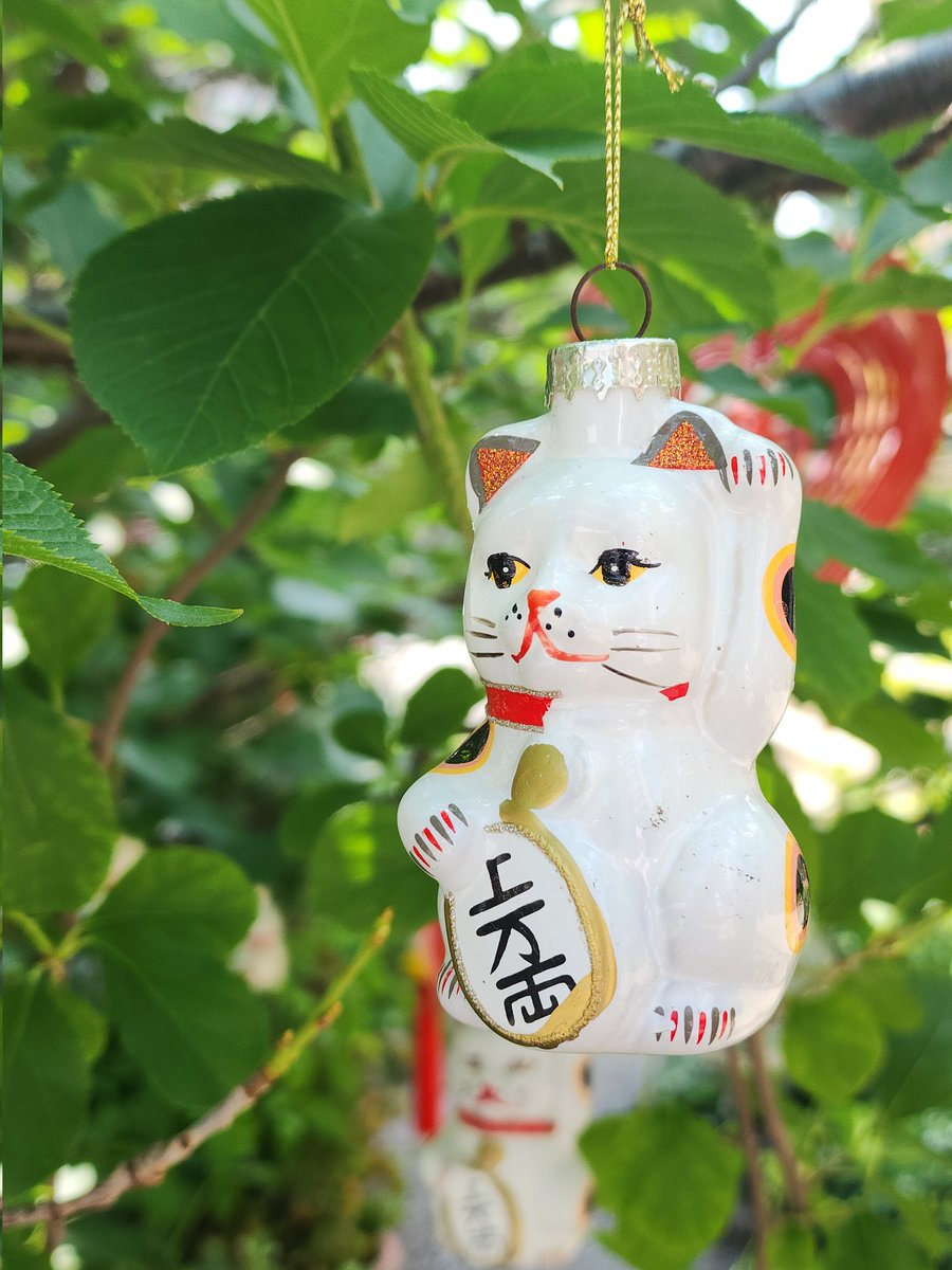 moto (@mocchan24) / Posts / X