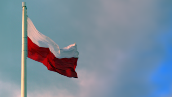 RihardsKols's tweet photo. Warm congratulations to our Polish friends and allies on Poland’s Independence Day. 🇵🇱

We honour our shared fight for freedom - and our steadfast alliance in defending it today.

Sto lat, Poland! 

@radekfogiel @AdamBielan @PatrykJaki https://t.co/pm0henGJC5
