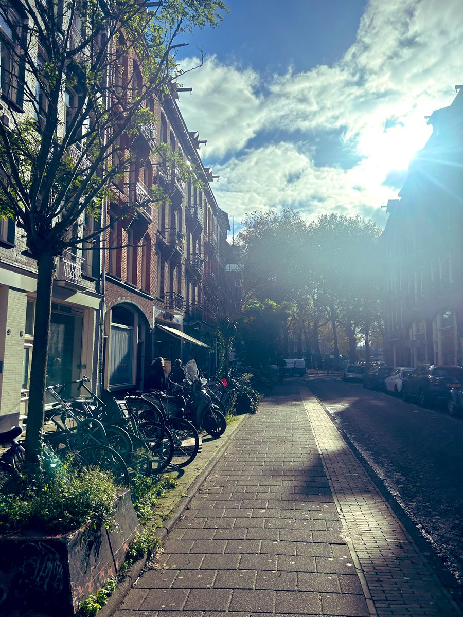 wildermetax's tweet image. Sun is out! #Amsterdam 

Who else is active?
