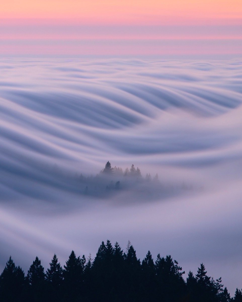 Photographs that look like paintings