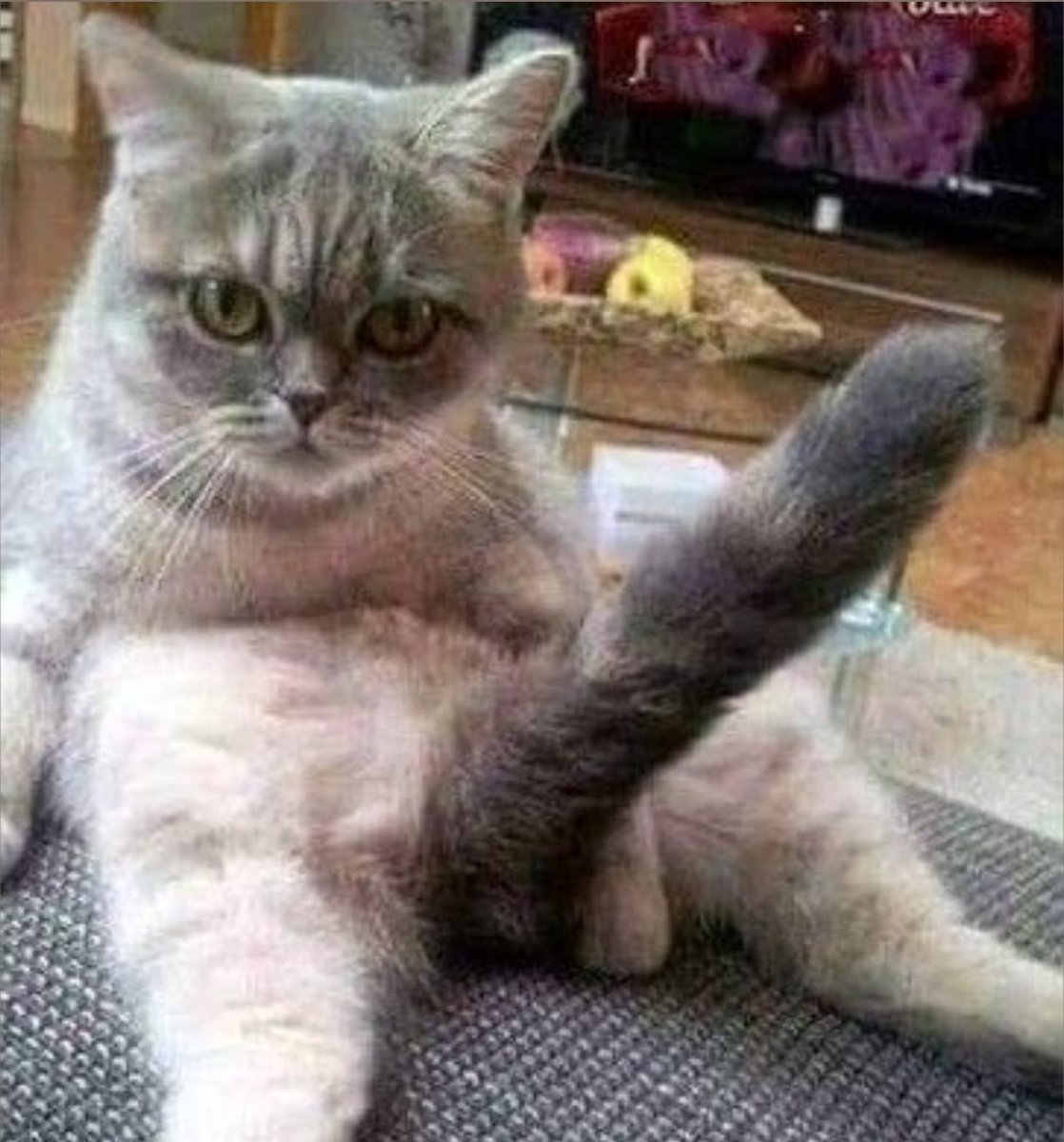 0x_phoenix2's tweet image. waiting for that 100x like it’s guaranteed