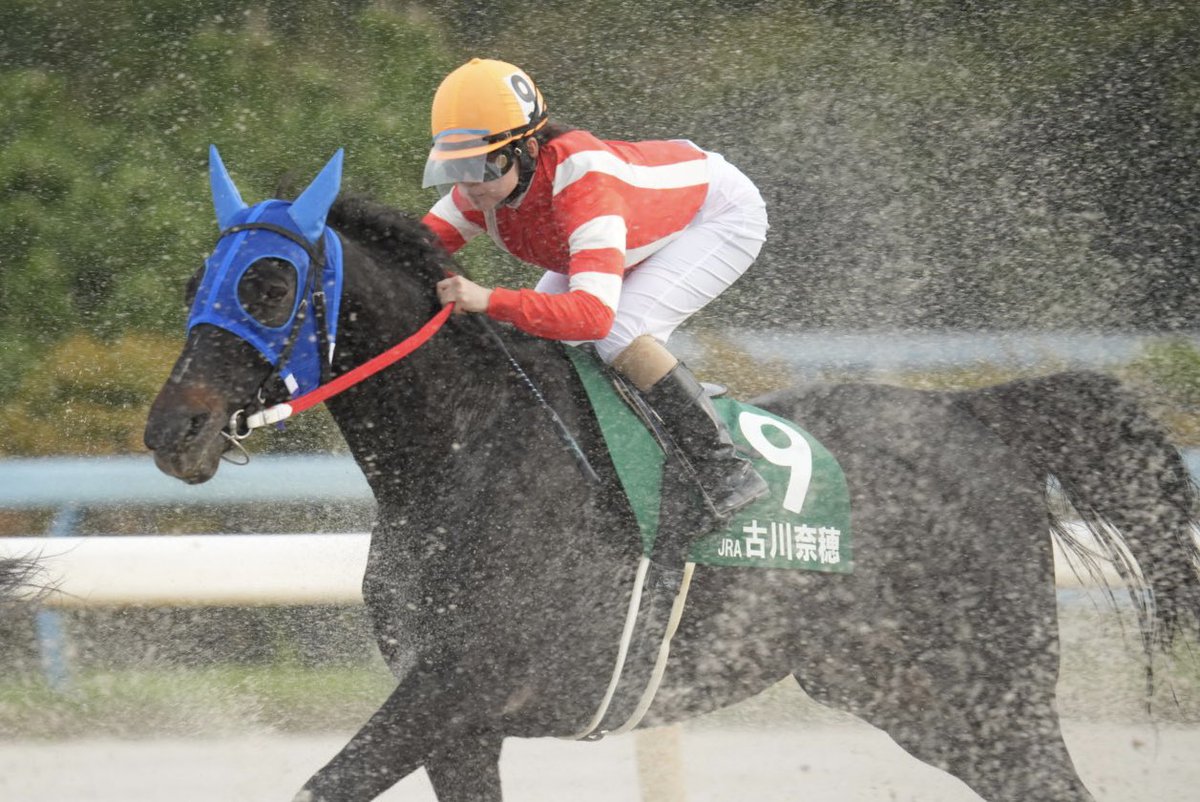 E7%9F%A2%E4%BD%9C%E5%8E%A9%E8%88%8E