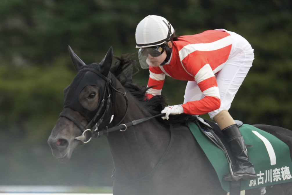 早い者勝ち❗️ラテン・アメリカ辞典 E7%9F%A2%E4%BD%9C%E5%8E%A9%E8%88%8E